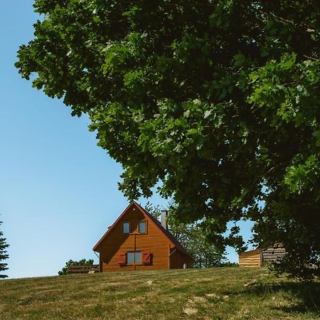 Widokowka Kaszuby Villa Mirachowo Dış mekan fotoğraf