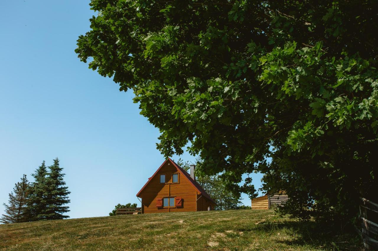 Widokowka Kaszuby Villa Mirachowo Dış mekan fotoğraf