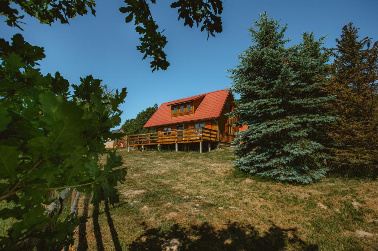 Widokowka Kaszuby Villa Mirachowo Dış mekan fotoğraf